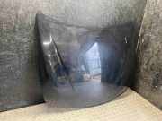 Motorhaube BMW 3er Touring (F31)