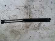 Heckklappendämpfer links Dodge Caliber ()