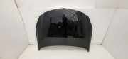Motorhaube OPEL INSIGNIA A Estate (G09) 2.0 CDTI (35)