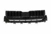 Vorderer oberer Gitter SKODA KODIAQ (NS7) 2.0 TDI 565853653B