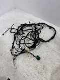 Kabel der vorderen linken Tür BMW 4 Coupe (G22, G82) 420 i 1.6 11107810
