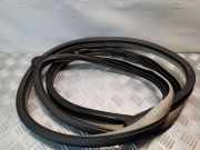 Türgummi rechts vorne Chrysler Grand Voyager V (RT)