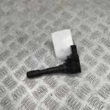 Zündspule BENTLEY CONTINENTAL Coupe (3W_) 4.0 FLEX AWD 079905110H