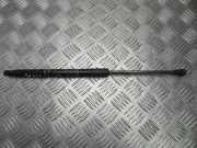 Gasdruckfeder Toyota Yaris (P13) 689600W641