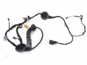 Türverkabelung hinten links AUDI A4 Avant (8W5, B9) 2.0 TDI 8W0971687AM