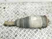 Stoßdämpfer hinten rechts LAND ROVER RANGE ROVER SPORT (L320) 2.7 D 4x4 22241480