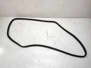 Dichtungsgummi am Ende (Gabel) BMW X3 (F25) xDrive 28 i