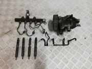 Kraftstoffpumpe Renault Kangoo II Rapid (FW0) 167003608R