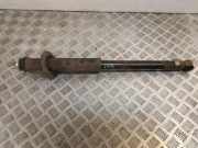 Stoßdämpfer hinten links TOYOTA YARIS (_P1_) 1.3 (NCP10_, SCP12_)