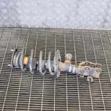 Stoßdämpfer vorne links