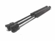 Gasfeder für Motorhaube Volvo V70 II (285) 30649516