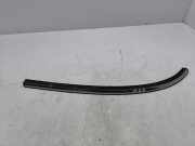 Schwellenverkleidung hinten links MINI COUNTRYMAN (R60) Cooper D