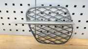 Kühlergrill unten BMW X5 (E70) 7222857