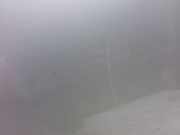 Tür rechts vorne Citroen Xsara (N1)