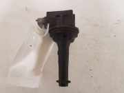 Zündspule Volvo V50 (545) 1220703014
