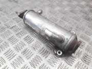 Abgaskühler Chevrolet Captiva (C100, C140) 96817829