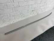 Dachleiste links BMW 1 (F21) 116 d 7240685