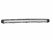 Gitter vorne unten TOYOTA RAV 4 III (_A3_) 2.2 D 4WD (ALA30_) 5311242040