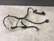 Türverkabelung hinten links NISSAN PATHFINDER III (R51) 2.5 dCi 4WD 24127EB301