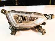Nebelscheinwerfer vorne rechts HYUNDAI TUCSON (TL, TLE) 1.6 GDi 92201D7000