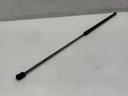 Gasfeder für Motorhaube Audi Q2 (GA) 5G0823359