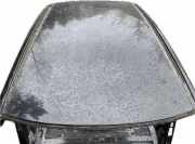 Dach LEXUS RX (_L2_) 450h AWD 1001010000000