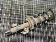 Stoßdämpfer vorne links LAND ROVER RANGE ROVER EVOQUE (L538) 2.2 D BJ3218K001AD