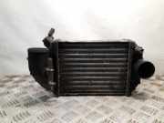 Ladeluftkühler VW Passat B5.5 Variant (3B6) 059145805