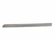 Türverkleidung links hinten Peugeot 807 () 1484089077