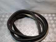 Türdichtung Chrysler Grand Voyager V (RT)