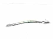 Vorderer oberer Gitter BMW X6 (E71, E72) xDrive 50 i 7179434