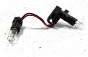 Xenon-Lampe VW TIGUAN (5N_) 2.0 TDI 4motion