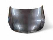 Motorhaube OPEL INSIGNIA A (G09) 1.6 CDTi (68)