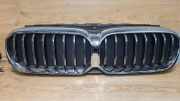 Gitter Grill vorne links BMW 5 (G30) 530 i 211683354A
