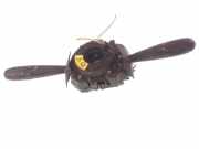 LENKSTOCKSCHALTER KOMBISCHALTER FIAT BRAVO I (182_) 1.6 16V (182.AB) 2775044001
