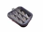 Ziergitter Audi A6 Avant (4F, C6) 4B0819181B