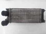 Ladeluftkühler Citroen Berlingo II Multispace (B9) 9684212480