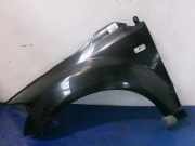 Kotflügel links vorne Dodge Caliber ()