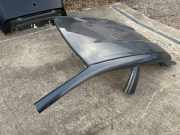 Dach TOYOTA C-HR (_X2_, _H2_) PHEV