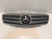 Vorderer oberer Gitter MERCEDES-BENZ SL (R230) 500 (230.475) A2308800683