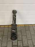 Stoßdämpfer hinten links BMW 6 Cabrio (F12) 640 d xDrive #1645 43400