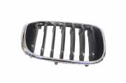 Vorderer oberer Gitter BMW X3 (G01, F97) M40 i xDrive 7464924 7464922