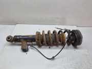 Stoßdämpfer hinten links BMW X3 (F25) xDrive 35 d 37126799911