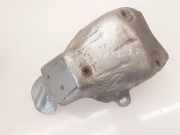 Heat Insulation RENAULT LAGUNA Coupe (DT0/1) 3.0 dCi (DT03)