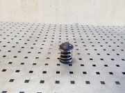 Thermostat BMW X3 (F25)