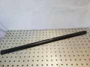 Fensterleiste Tür vorne rechts HYUNDAI TERRACAN (HP) 2.9 CRDi 4WD