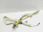 Airbag Dach links Hyundai Sonata V (NF) 603493301C