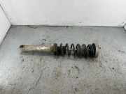 Stoßdämpfer hinten links BMW 5 (E60) 530 d 4903001744