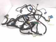 Kabelbaum Fiat Bravo II (198) 51795803