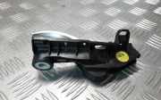 Türöffner innen links hinten BMW 7er (F01, F02, F03, F04) 51419116341